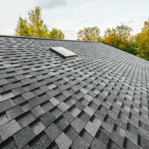 Shingle roof